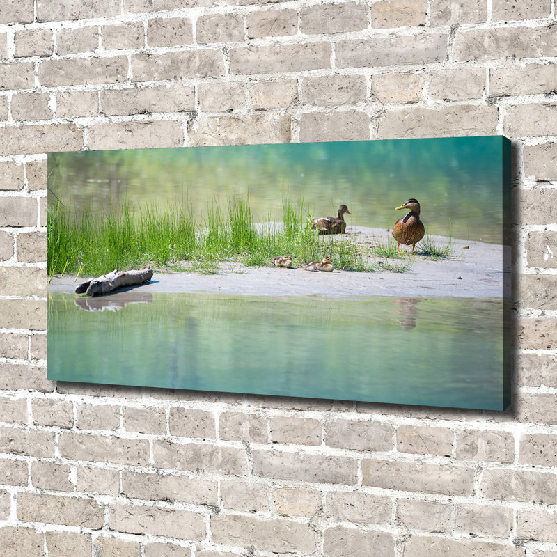 Ducks Above The Water - Print, 70cm H x 140cm W x 2cm D, Wrapped Canvas