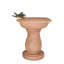 Bain d’oiseaux de jardin classique McCaffrey