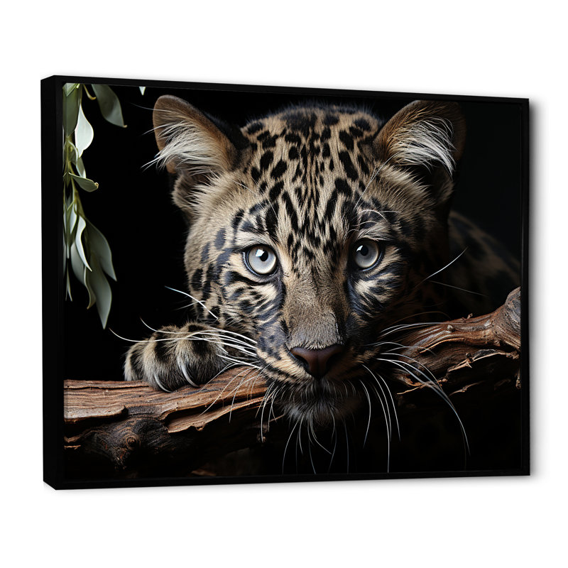 Léopards, élégance gracieuse sur toile, H 24 po x l 32 po x P 1 po, Cadre flottant noir