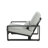 Chetan Indoor/Outdoor Aluminum Lounge Chairs-106409950-106409949