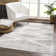 Dounia Modern Performance Gray Area Rug