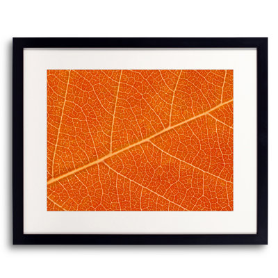 Autumn Leaf Print by Philippe Monthoux