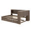 Lit de jour avec tablettes de rangement, USB, DEL et lit gigogne-291464035