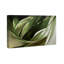 Olive perspective sur toile-501897875
