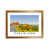 Brown Framed selected