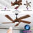 Eichen 52'' Ceiling Fan with LED Lights