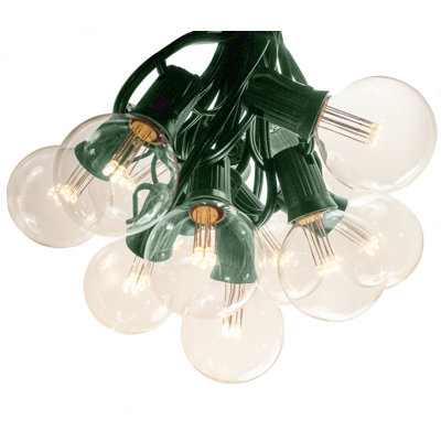 25' Outdoor 25 - Bulb Globe String Light