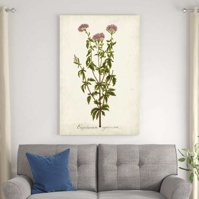 Herbe antique botanique I, H 48 po x l 32 po