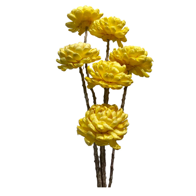 Mum Arrangement, Sunkist Yellow