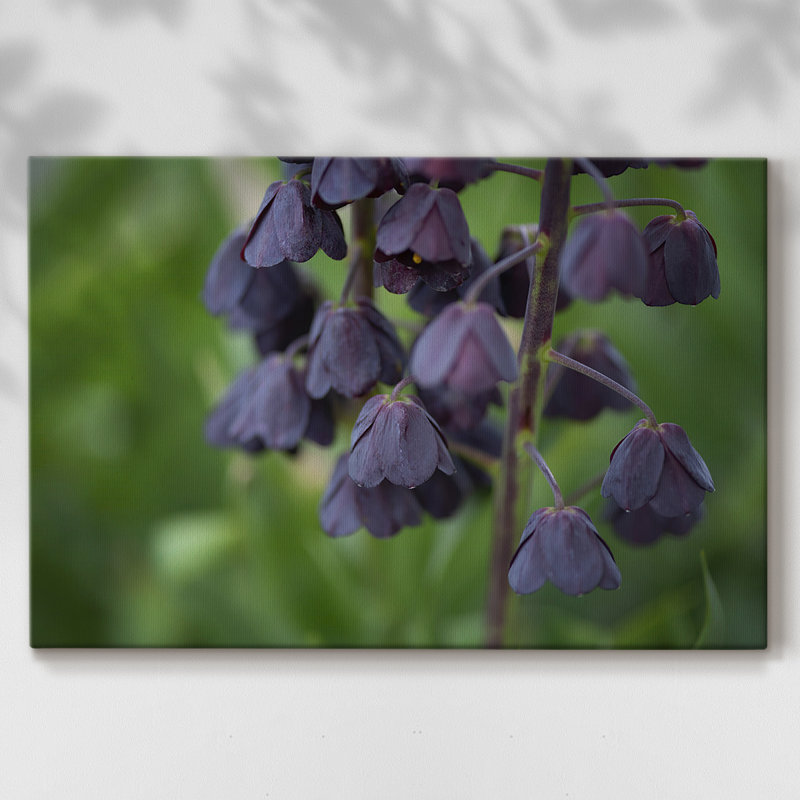 Aubergine - Cavas enveloppés de galerie, 18 x 27