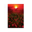 Warm Sunset by Marco Carmassi - Wrapped Canvas Gallery-Wrapped Canvas Giclée-41186054