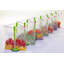 Ensemble de 12 contenants alimentaires baggy Gadgets