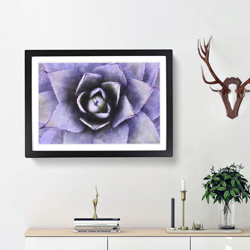 Lilac Succulent Plant - Picture Frame Graphic Art Print, 24cm H x 33cm W x 2cm D, Black Framed