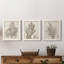 «Sepia Exotic Plants I», ensemble de 3 peintures sur toile encadrées-2017768722-2017768734
