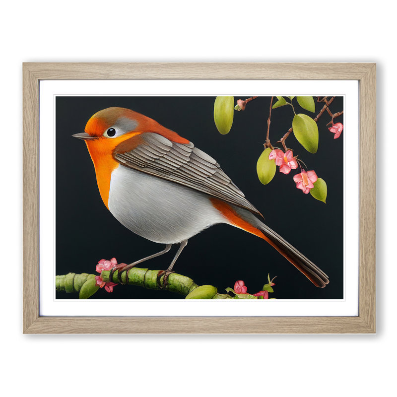 Spellbinding Robin Bird - Framed Print, 46cm H x 64cm W x 2cm D, Oak