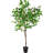 6.5' Potted Two Tone Apple Artificial Christmas Tree - Unlit