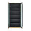 Accent Cabinet