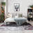 Elkmont Abstract Indoor Rug-975544952