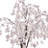 6' Weeping Cherry Tree-339991000