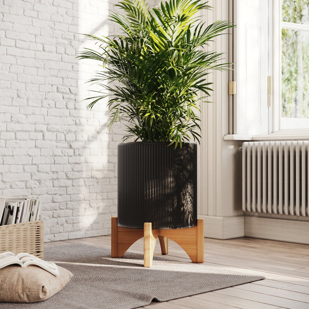 Everett Everett Pot with Arch Base George Oliver 