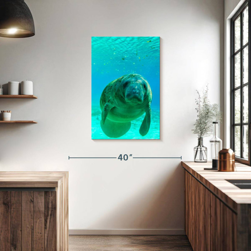 Brampt Swimming Manatee, 36" H x 24" W
