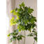 Simulation de plante verte Happiness Tree Living Room