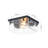 2-light Transparent Wavy Glass Flush Mount