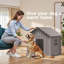 Niche pour chien 38 po en plastique pour l'extérieur avec niche pour l'extérieur-282336059-278693568