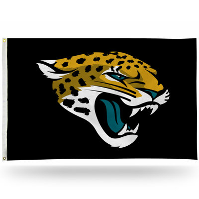 Drapeau de maison en polyester NFL 36 x 60 po