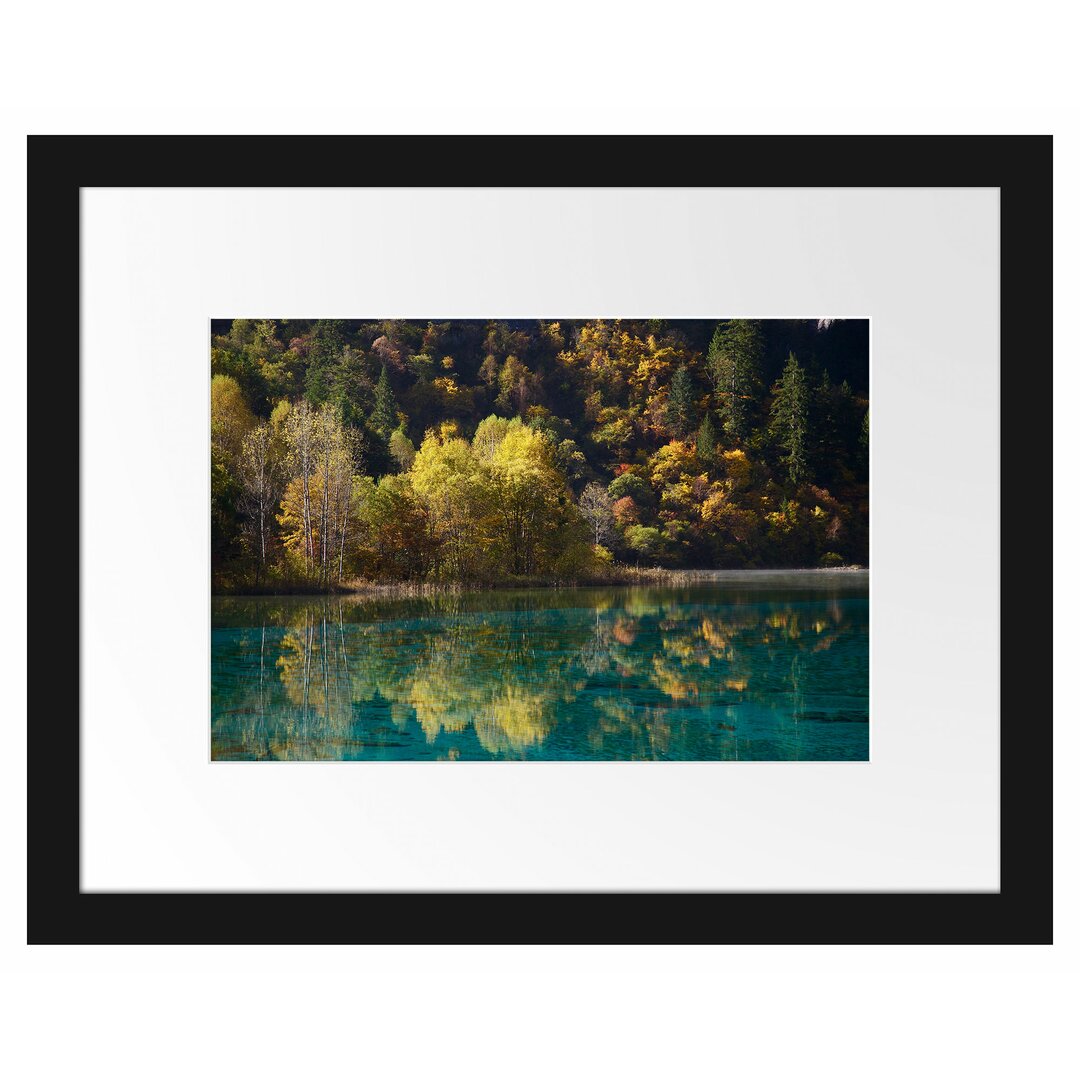 Gerahmtes Poster Herbstlicher Wald am See