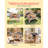 Insulated Cat House