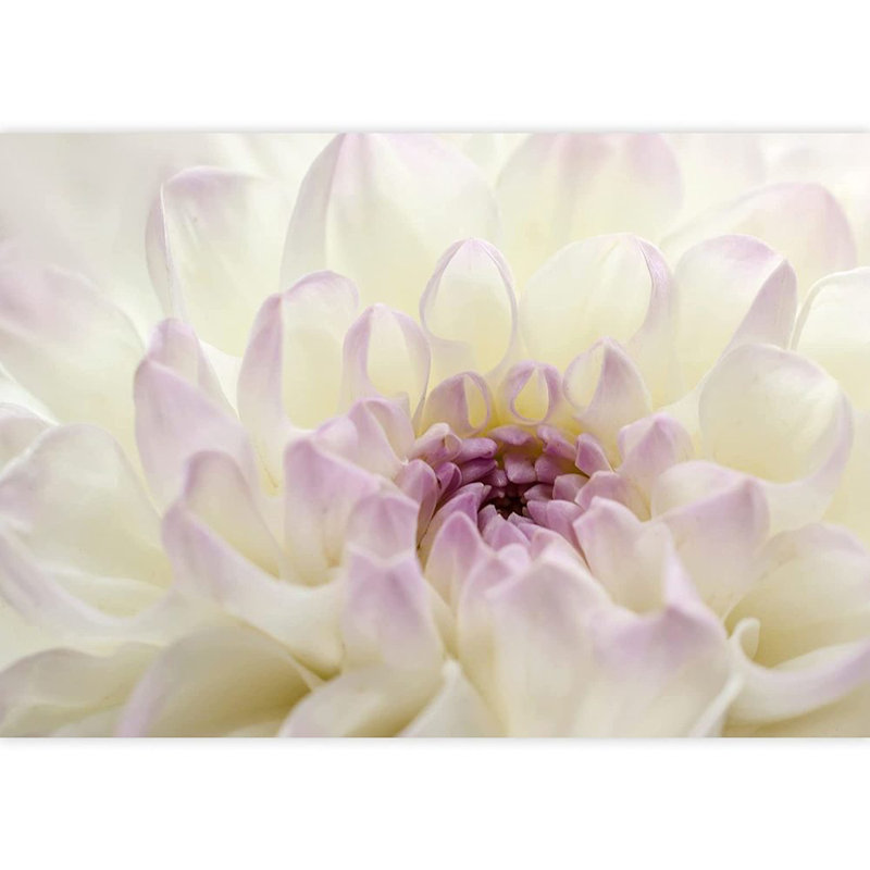 Gros plan sur une fleur murale, L 100 po x l 144 po