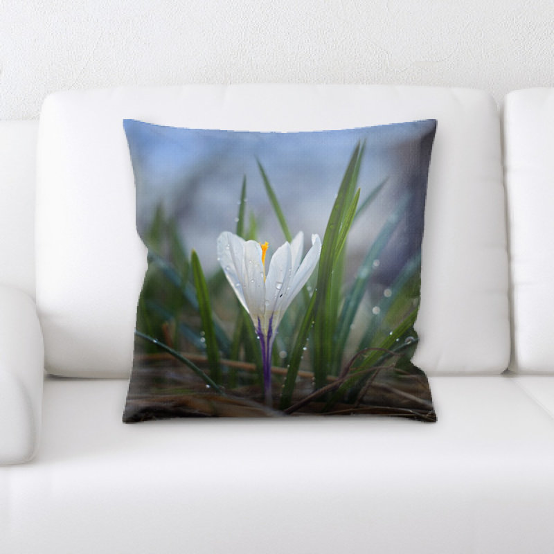 Coussin décoratif nature