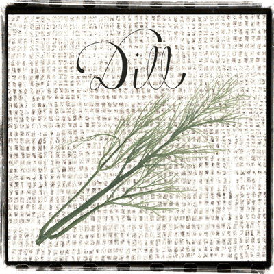 " Burlap Herbs III "