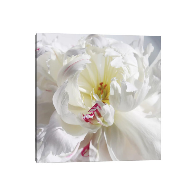 Breathless V by Irena Orlov - Wrapped Canvas Print, 30.48cm H x 30.48cm W x 1.91cm D