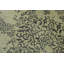 Maximus One-of-a-Kind 3' Hand Knotted Area Rug