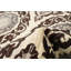 Tapis unique en laine noué à la main de style crème / brun foncé 8 pi 3 po x 10 pi nouvel âge 18/20 po