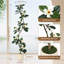 Faux Plant-1033565856-1033565859