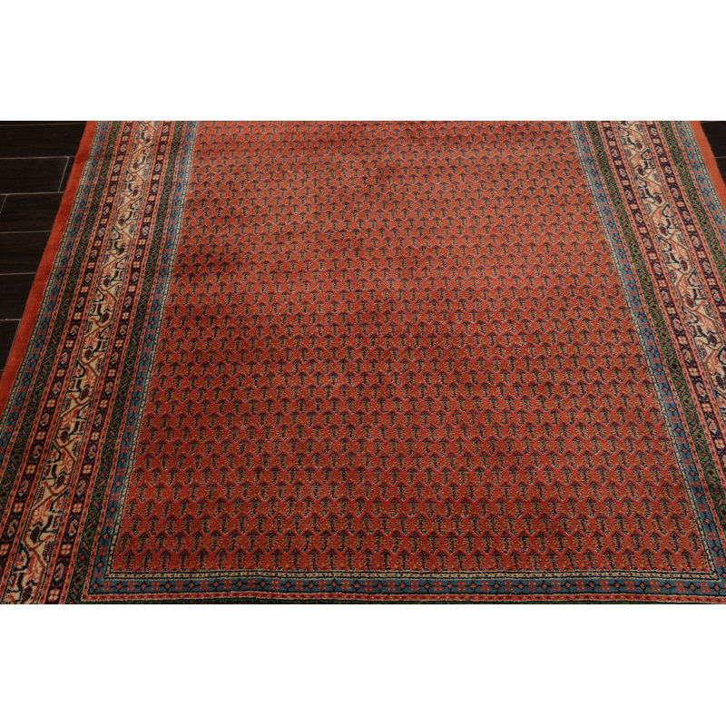 Tapis traditionnel pande Cameron en laine noué à la main 6 x 9 po Serabund