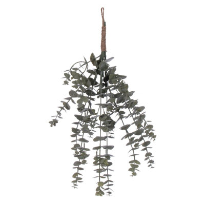 22 plantes