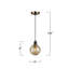 Luminaire suspendu 1 lumière Rickey - Noir - Laiton brossé - Verre-898471062