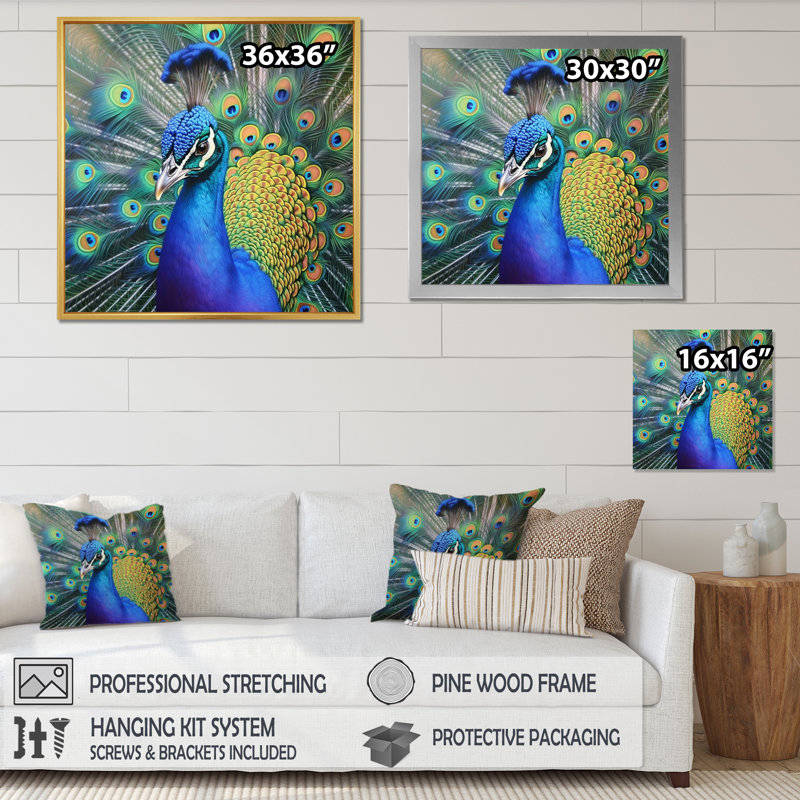 Impression sur toile Vibrant Peacock III - Animaux, H 36 po x l 36 po x P 1,5 po, Cadre doré à une seule photo