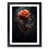 Black Framed selected