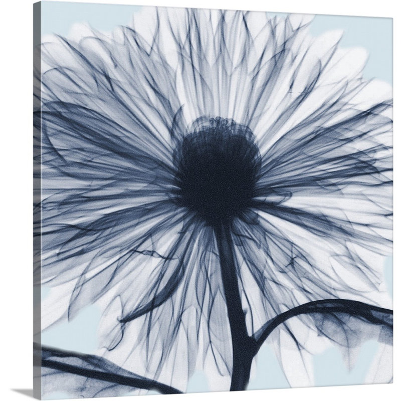 «Chrysanthemum Blues» par Albert Koetsier - reproduction d'art sur toile, H 30 po x l 30 po x P 1,25 po, Toile tendue