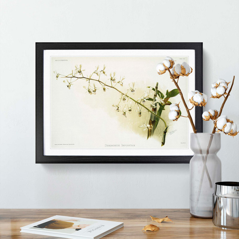 Magnolia Flowers Illustration Tab. 95 by Frederick Sander - Picture Frame Art Print, Black Framed, 48cm H x 65cm W x 2cm D