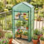 Greenhouse