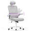 Motonobu Ergonomic Office Chair with Mesh Lumbar Support-631788499-631788500