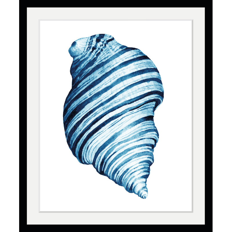 Shell - Single Picture Frame Print