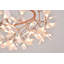 Lustre Safiye