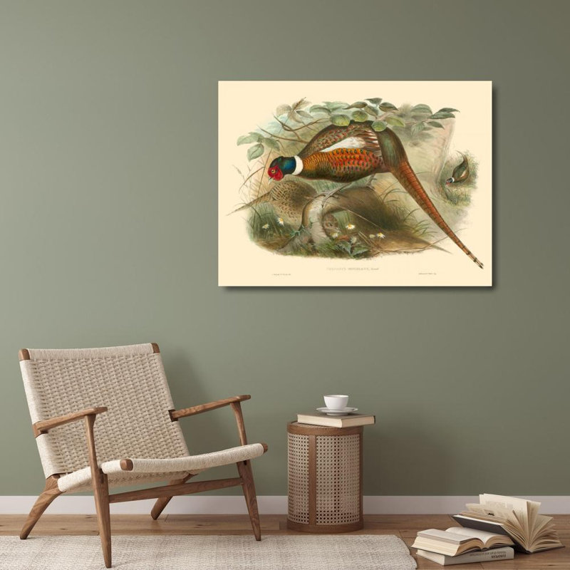 Art sur toile tendu Lark Manor ™ Gould, John: Gould Pheasants II 68992Z, H 28 po x l 36 po
